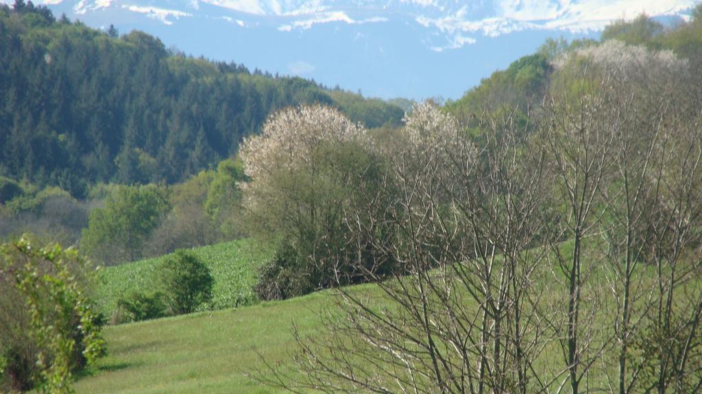 Gite Du Paradis Vieuzos Exterior foto